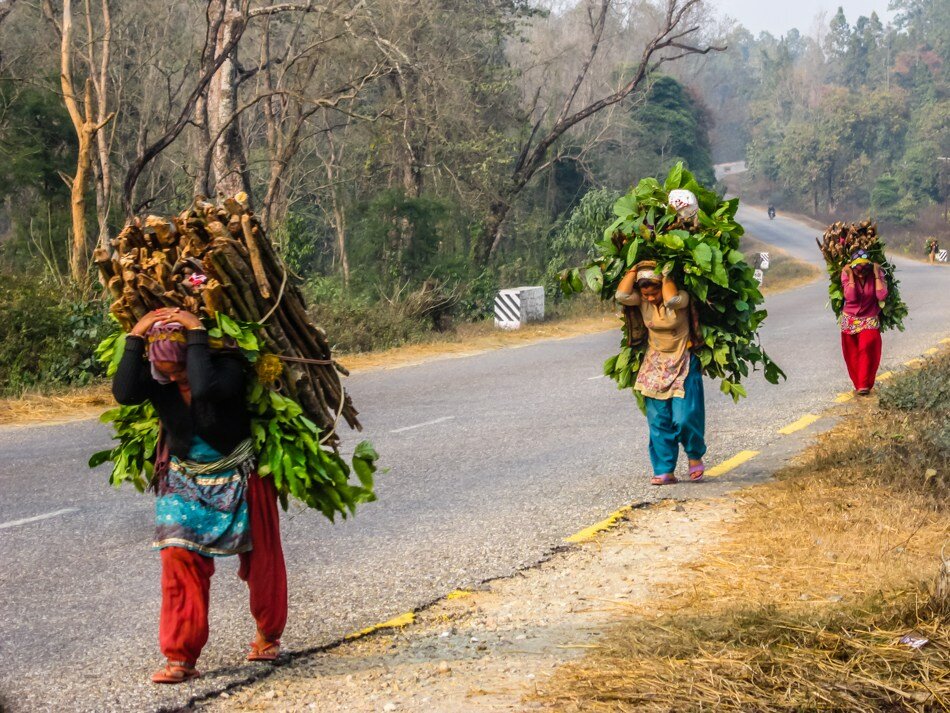 Women carrying firewood from a community-run forest in Daunne village of Nawalparasi district in Nepal