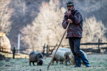 Reporters Felix Gaedtke and Gayatri Parameswaran met many rural Romanians living without electricity, like Boboc Sorin, a shepherd from Holbav.