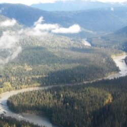 Communities further inland along the Skeena River are also concerned about the potential impact of PNW LNG on wild salmon.Jonathan Moore