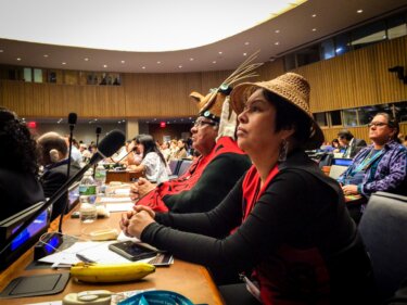 Christine Smith-Martin (Li’dytsm’Lax’nee’ga Neexl), foreground, along with Murray Smith (Algmxaa), both representing the Gitwilgyoots Tribe of Lax Kw’alaams at the United Nations Permanent Forum on Indigenous Issues in June. They told the UN that Petronas’s plans for an LNG project in their territory do not have their free, prior and informed consent.Ian Gill